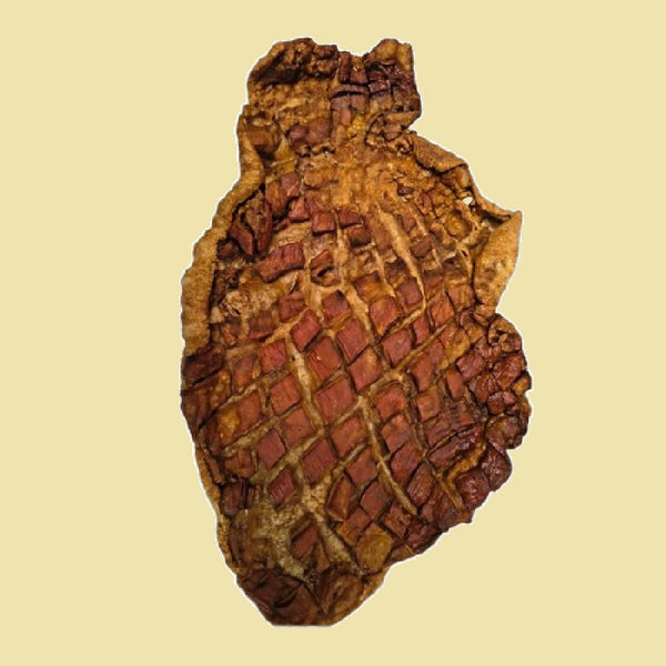 Chicharron Carnudo