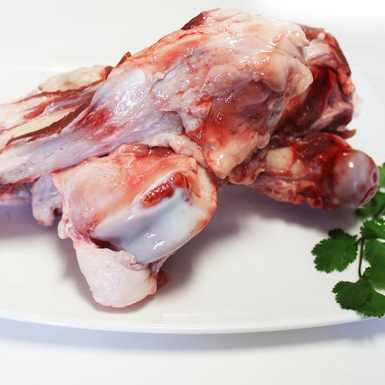 Hueso de pierna (Obrador A.)